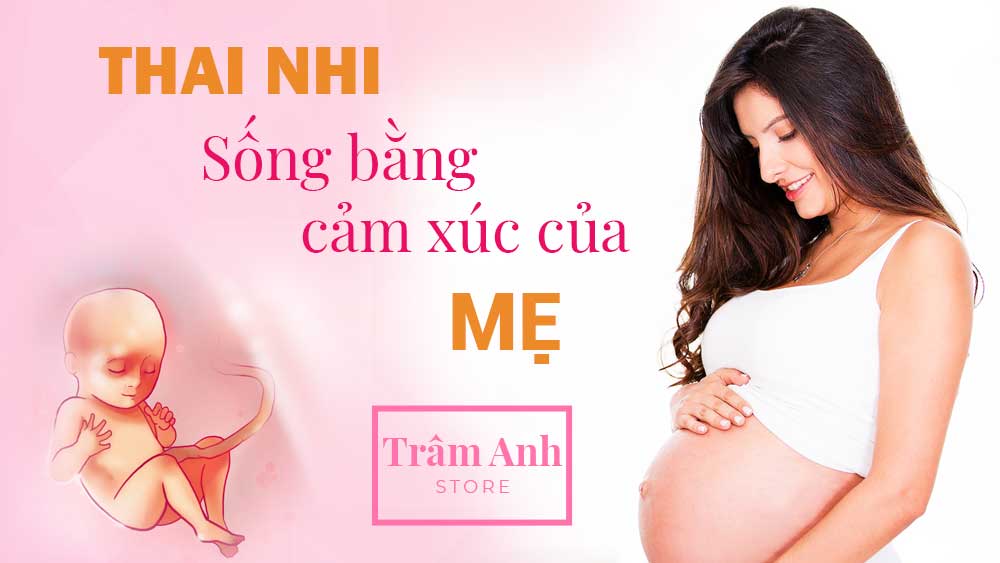 Thai nhi sống bằng cảm xúc của mẹ
